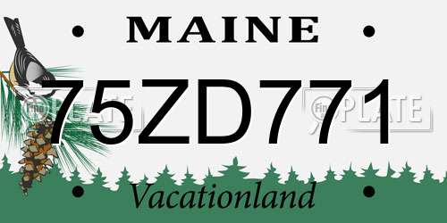 75ZD771 Maine License Plate