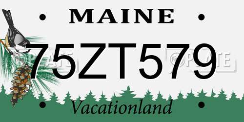 75ZT579 Maine License Plate