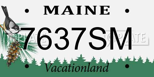 7637SM Maine License Plate