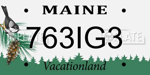 763IG3 Maine License Plate