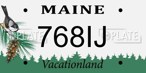 768IJ Maine License Plate