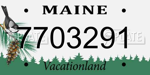 7703291 Maine License Plate