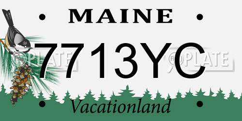 7713YC Maine License Plate