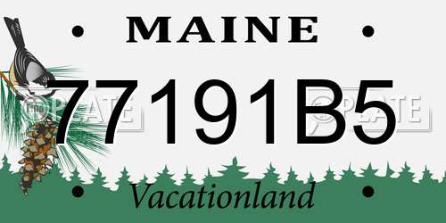 77191B5 Maine License Plate