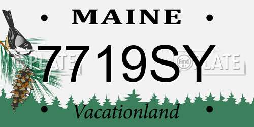 7719SY Maine License Plate