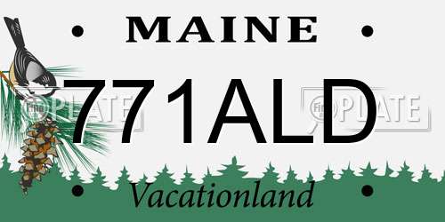 771ALD Maine License Plate