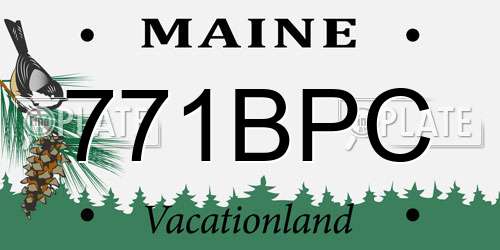 771BPC Maine License Plate