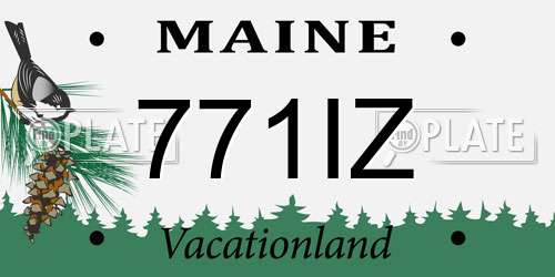 771IZ Maine License Plate