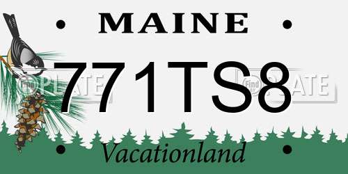 771TS8 Maine License Plate