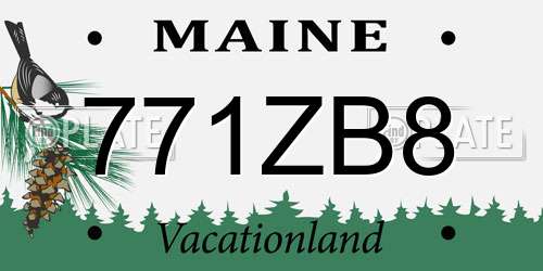 771ZB8 Maine License Plate