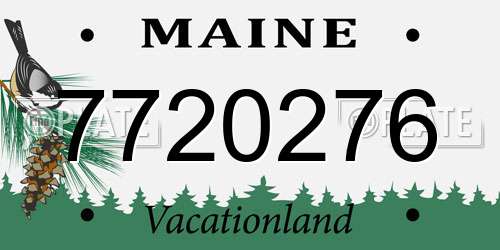 7720276 Maine License Plate