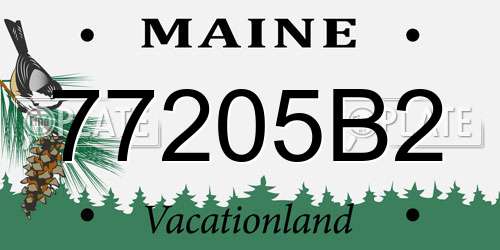 77205B2 Maine License Plate