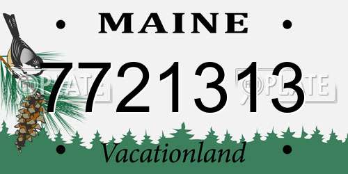 7721313 Maine License Plate