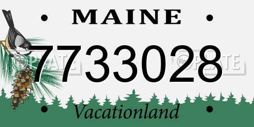 7733028 Maine License Plate