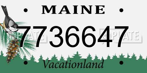 7736647 Maine License Plate
