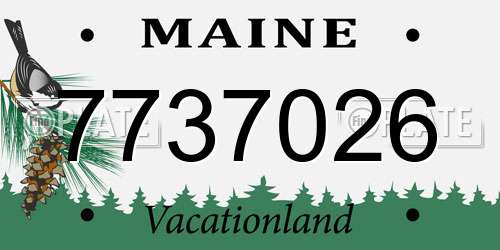 7737026 Maine License Plate