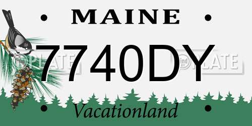 7740DY Maine License Plate