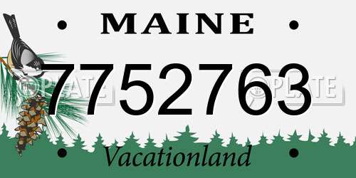 7752763 Maine License Plate