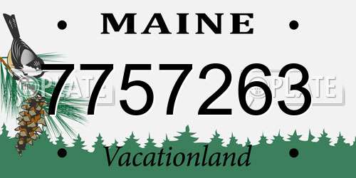 7757263 Maine License Plate
