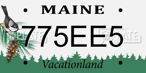 775EE5 Maine License Plate