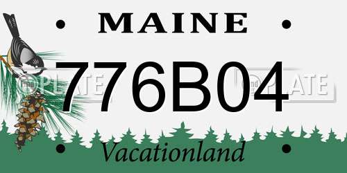 776B04 Maine License Plate