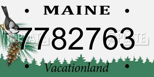 7782763 Maine License Plate