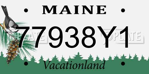 77938Y1 Maine License Plate