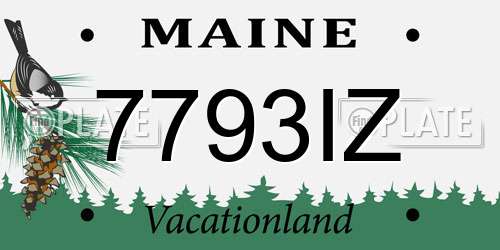 7793IZ Maine License Plate