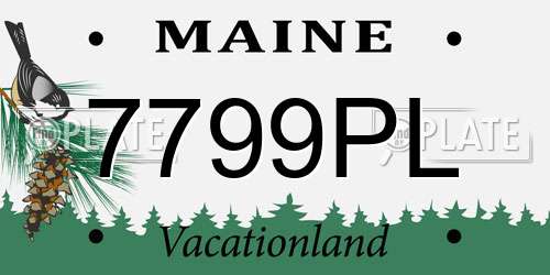 7799PL Maine License Plate