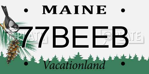 77BEEB Maine License Plate