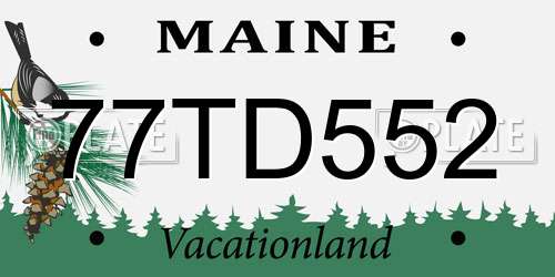 77TD552 Maine License Plate