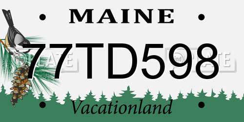77TD598 Maine License Plate