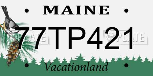 77TP421 Maine License Plate