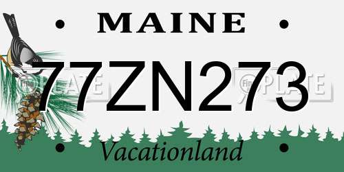 77ZN273 Maine License Plate