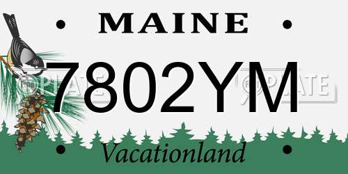 7802YM Maine License Plate