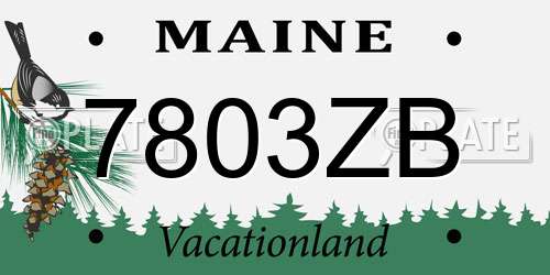 7803ZB Maine License Plate