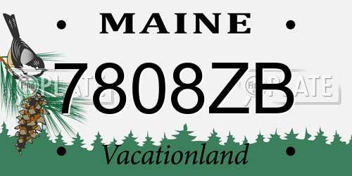 7808ZB Maine License Plate