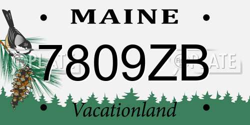 7809ZB Maine License Plate