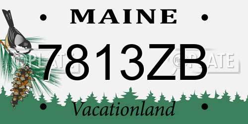7813ZB Maine License Plate