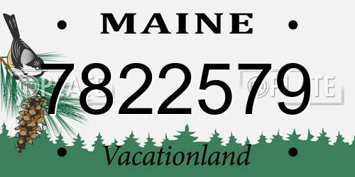 7822579 Maine License Plate