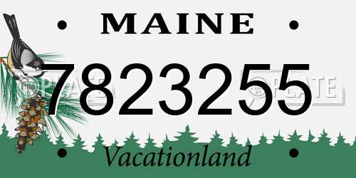 7823255 Maine License Plate