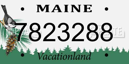 7823288 Maine License Plate