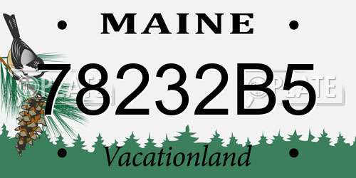 78232B5 Maine License Plate