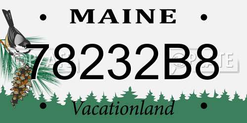 78232B8 Maine License Plate