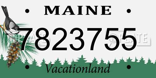 7823755 Maine License Plate