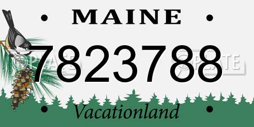 7823788 Maine License Plate