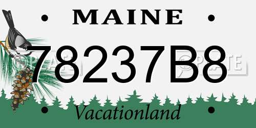 78237B8 Maine License Plate