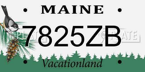 7825ZB Maine License Plate