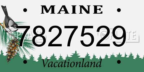 7827529 Maine License Plate