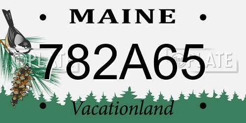 782A65 Maine License Plate